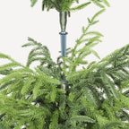 4FT Artificial Real Touch Pine Tree black pot and foliage detail