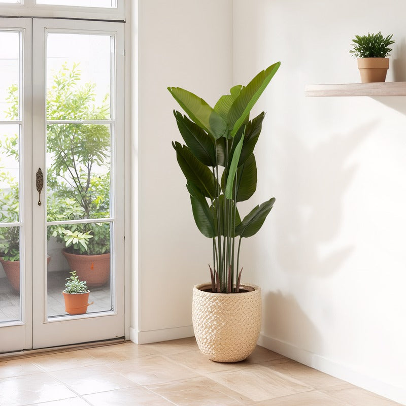 5.2FT Artificial Bird of Paradise Plant Set of 2 faux plant close-up