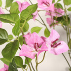6FT Artificial Bougainvillea Tree additional product view