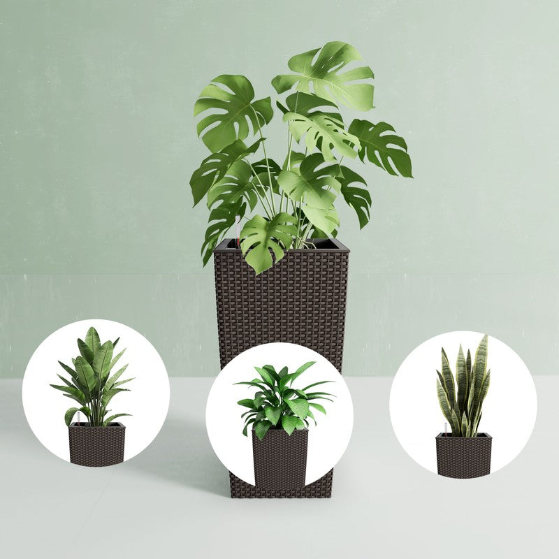 30-Inch Self-Watering Tall Planter - Brown - image 10