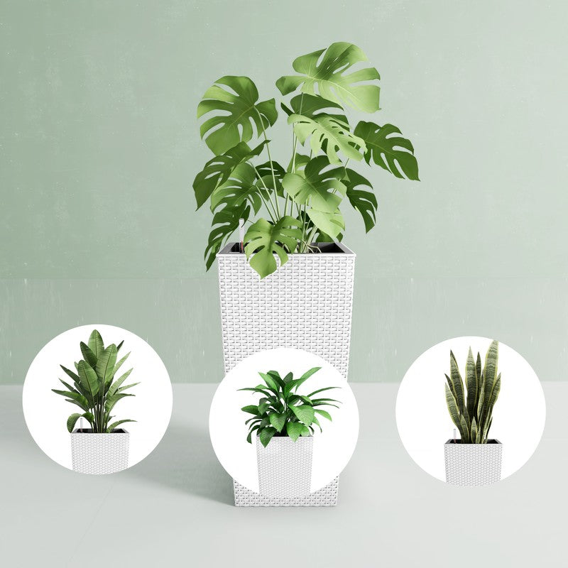 30-Inch Self-Watering Tall Planter - White - image 10